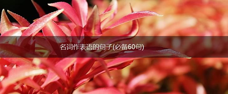 名词作表语的句子(必备60句),第1张