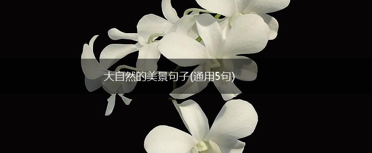 大自然的美景句子(通用5句),第1张