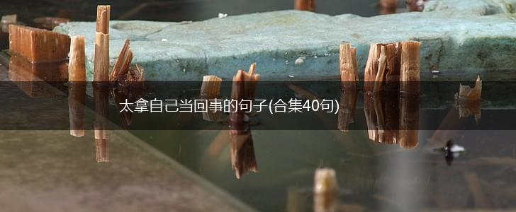 太拿自己当回事的句子(合集40句),第1张