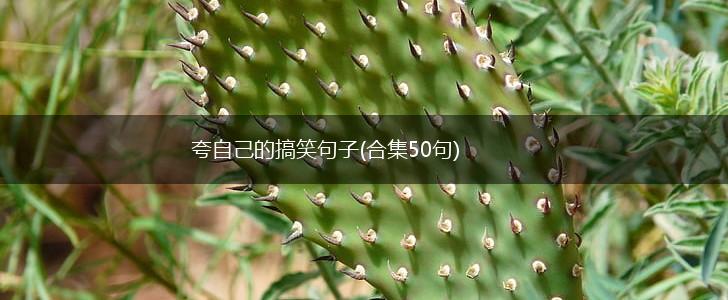 夸自己的搞笑句子(合集50句),第1张