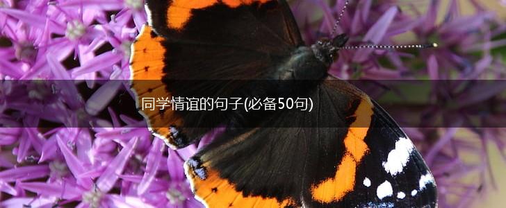 同学情谊的句子(必备50句),第1张