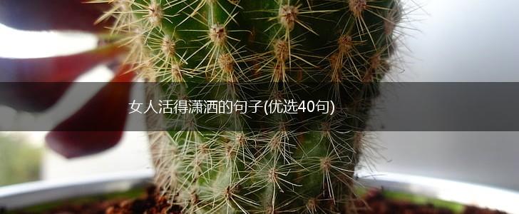 女人活得潇洒的句子(优选40句),第1张