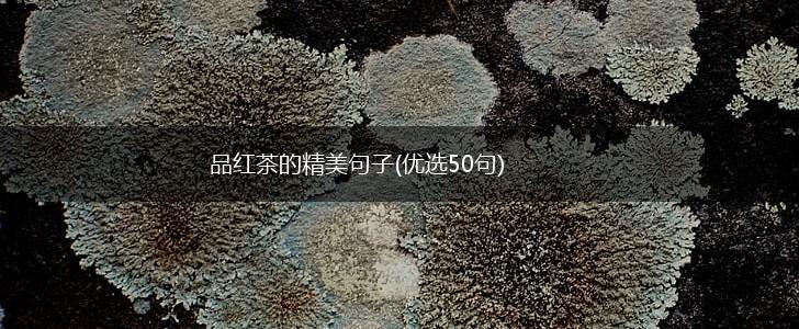 品红茶的精美句子(优选50句),第1张