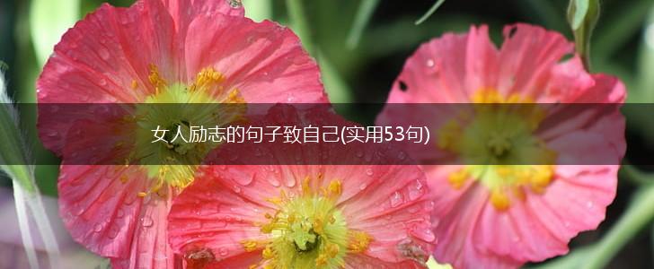 女人励志的句子致自己(实用53句),第1张