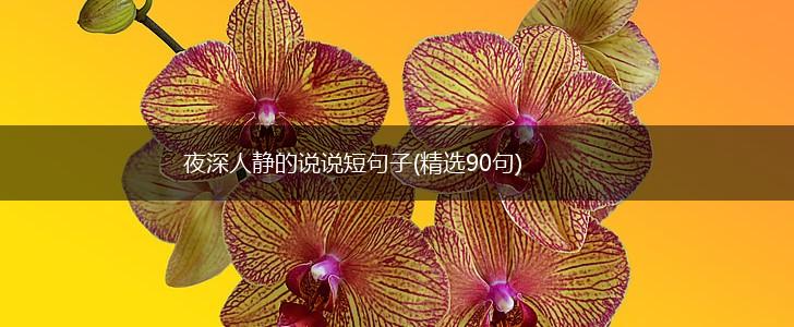 夜深人静的说说短句子(精选90句),第1张