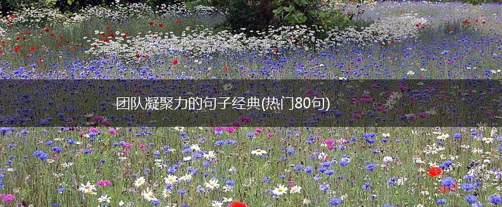 团队凝聚力的句子经典(热门80句),第1张