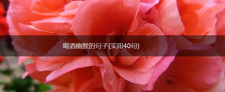 喝酒幽默的句子(实用40句),第1张
