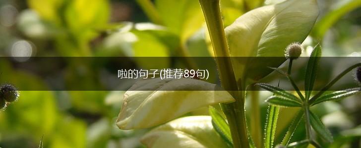 啦的句子(推荐89句),第1张