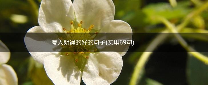 夸人朗诵的好的句子(实用69句),第1张