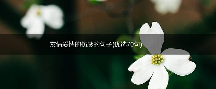 友情爱情的伤感的句子(优选70句),第1张