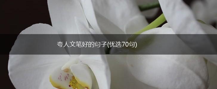 夸人文笔好的句子(优选70句),第1张