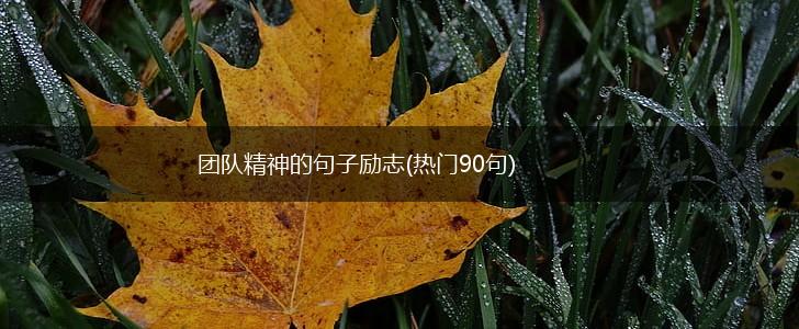 团队精神的句子励志(热门90句),第1张