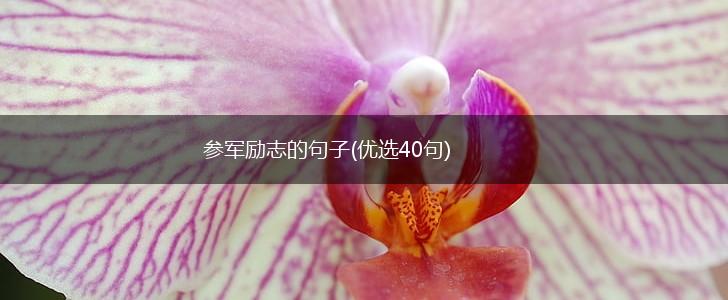 参军励志的句子(优选40句),第1张