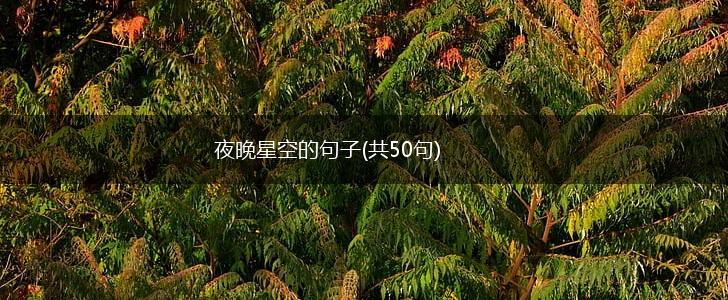 夜晚星空的句子(共50句),第1张