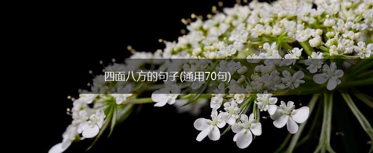 四面八方的句子(通用70句),第1张