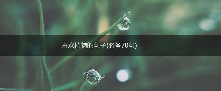 喜欢植物的句子(必备70句),第1张