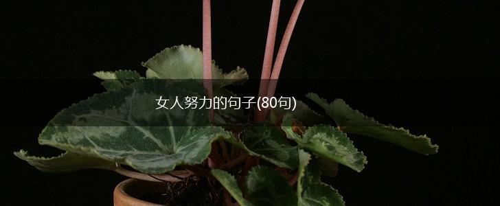 女人努力的句子(80句),第1张