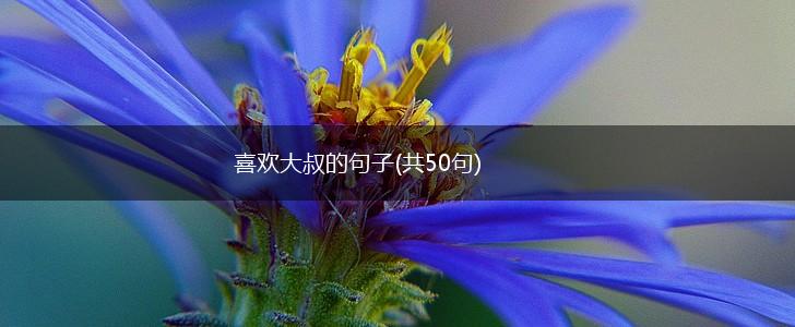 喜欢大叔的句子(共50句),第1张