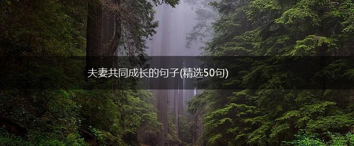 夫妻共同成长的句子(精选50句),第1张