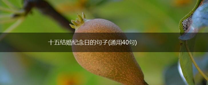 十五结婚纪念日的句子(通用40句),第1张