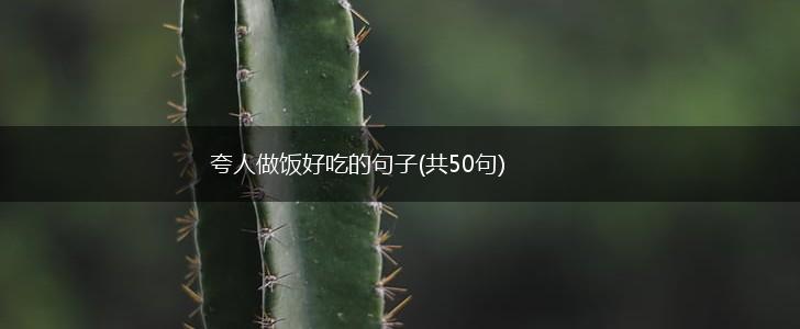 夸人做饭好吃的句子(共50句),第1张