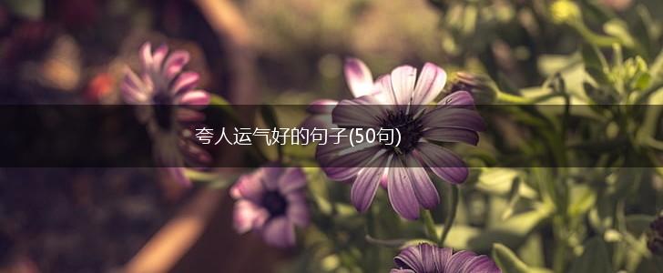夸人运气好的句子(50句),第1张