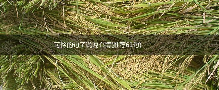 可怜的句子说说心情(推荐61句),第1张