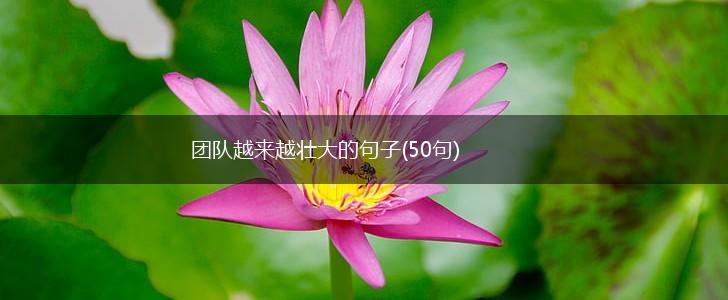 团队越来越壮大的句子(50句),第1张