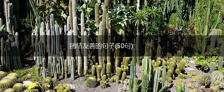 团结友善的句子(50句),第1张