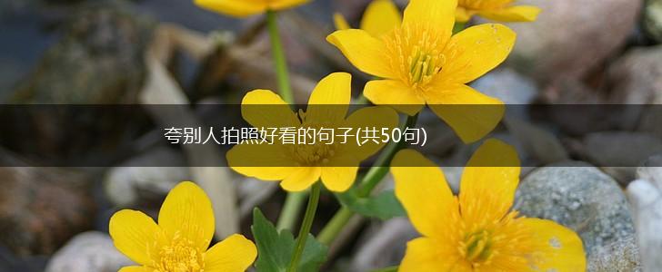 夸别人拍照好看的句子(共50句),第1张
