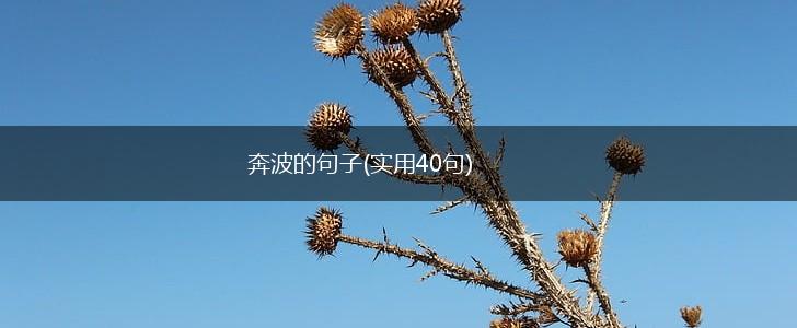 奔波的句子(实用40句),第1张