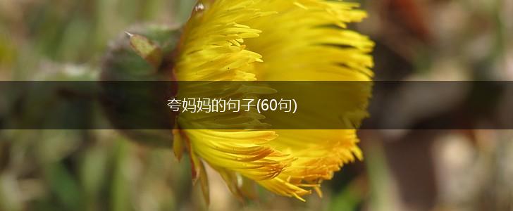 夸妈妈的句子(60句),第1张