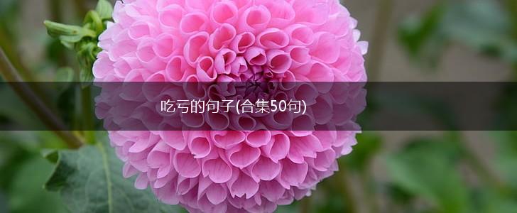 吃亏的句子(合集50句),第1张