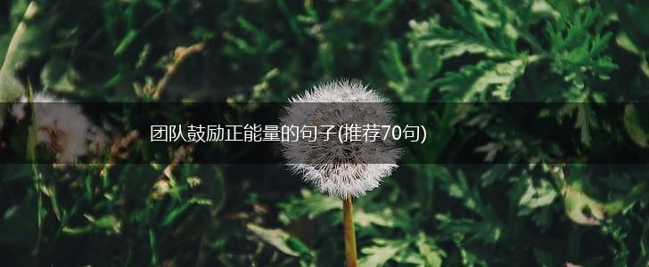 团队鼓励正能量的句子(推荐70句),第1张