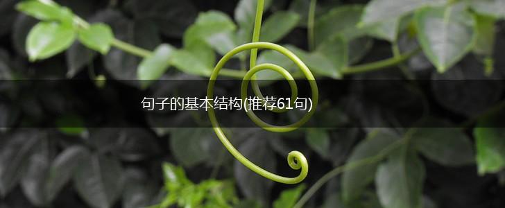 句子的基本结构(推荐61句),第1张