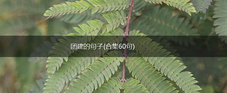 团建的句子(合集60句),第1张
