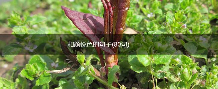 和颜悦色的句子(80句),第1张