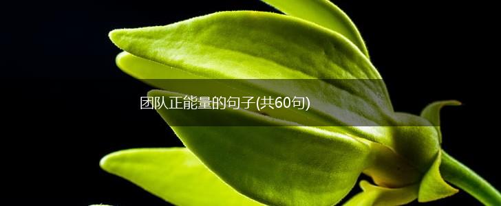 团队正能量的句子(共60句),第1张