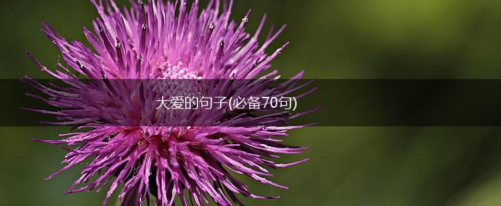 大爱的句子(必备70句),第1张
