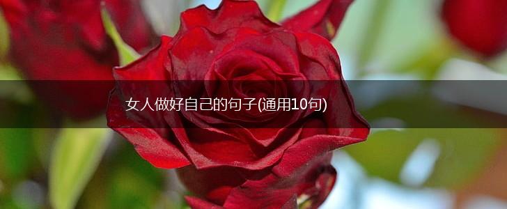 女人做好自己的句子(通用10句),第1张