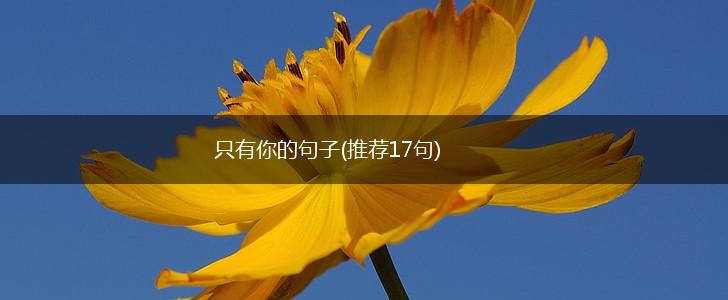 只有你的句子(推荐17句),第1张