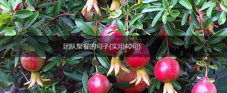 团队聚餐的句子(实用40句),第1张