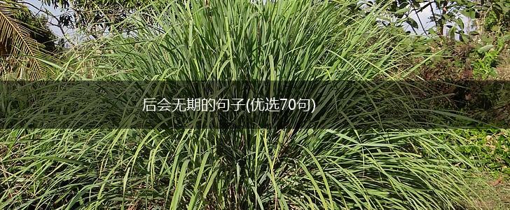 后会无期的句子(优选70句),第1张
