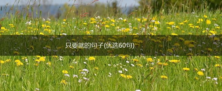 只要就的句子(优选60句),第1张