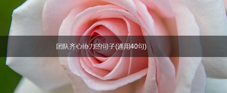 团队齐心协力的句子(通用40句),第1张