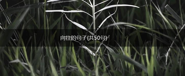 向往的句子(共50句),第1张