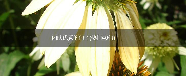 团队优秀的句子(热门40句),第1张