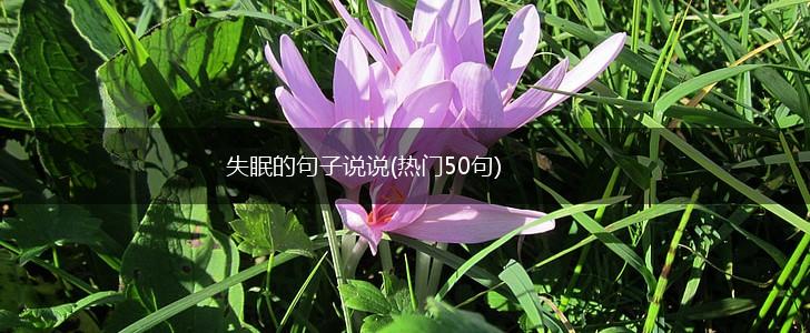 失眠的句子说说(热门50句),第1张
