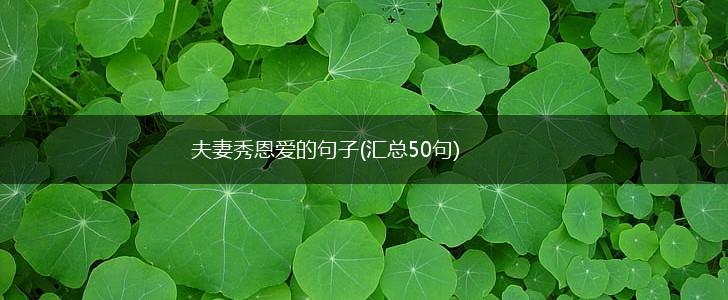 夫妻秀恩爱的句子(汇总50句),第1张