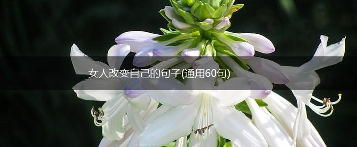 女人改变自己的句子(通用60句),第1张